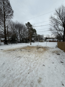 A cleared backyard after tree removal and cleanup services by Johnston's Tree Service in Owensboro, KY.