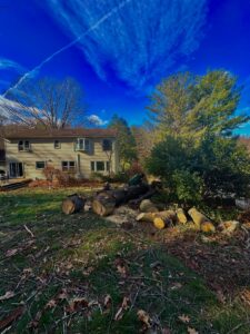 A backyard with several cut tree logs and a worker in the distance, indicating tree removal services by Victor Solis Tree Service in Norfolk, VA.