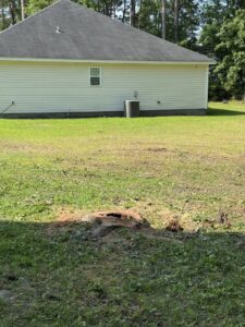A tree stump visible in a residential backyard, indicating recent tree removal service by Ayla Tree Service in Bloomingdale, GA.