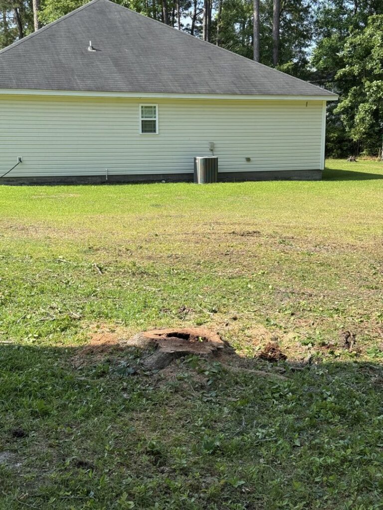 A tree stump visible in a residential backyard, indicating recent tree removal service by Ayla Tree Service in Bloomingdale, GA.