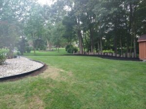 A backyard showing a line of tree stumps, indicating recent tree removal and preparation by Rustyn Page Landscaping in Harrisburg, PA.
