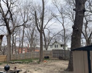 A backyard showing results of tree trimming services by Hoffman Construction Services, LLC in Saint Joseph, MO.