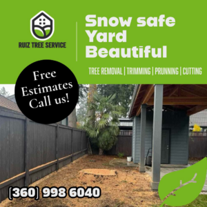 A backyard showing a freshly ground tree stump and cleared area, indicating stump removal service by Ruiz tree service in Vancouver, WA.