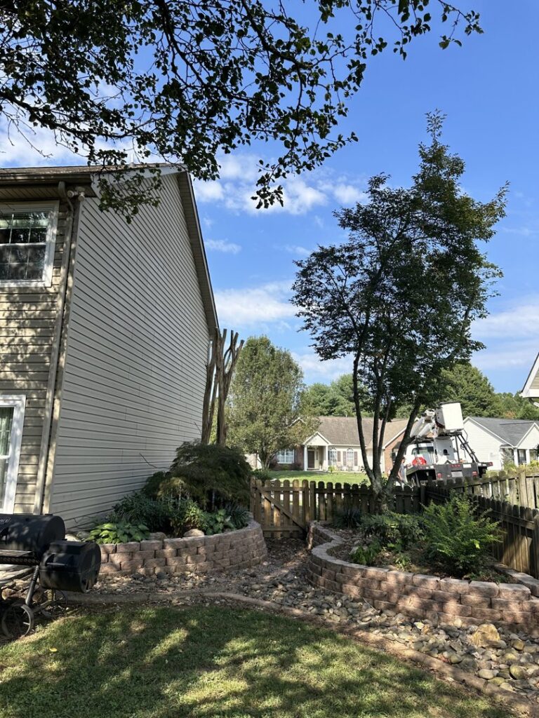 A residential backyard showing recently trimmed trees and a bucket truck in the background, indicating work by The Tree Service in Knoxville, TN.