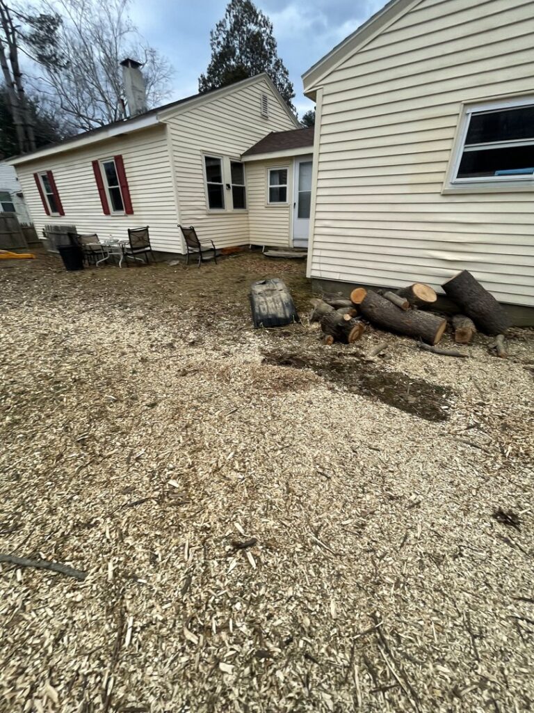 A backyard covered in wood chips with cut logs piled, showing the results of tree service work by Russell Tree Works & Firewood Sales in Augusta, ME.
