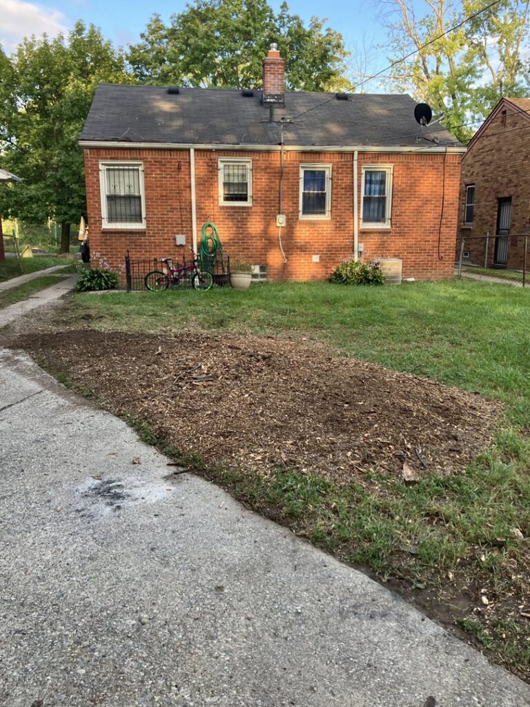 A backyard with wood chips on the ground, indicating recent stump grinding or tree removal by Magee Tree Service in Detroit, MI.