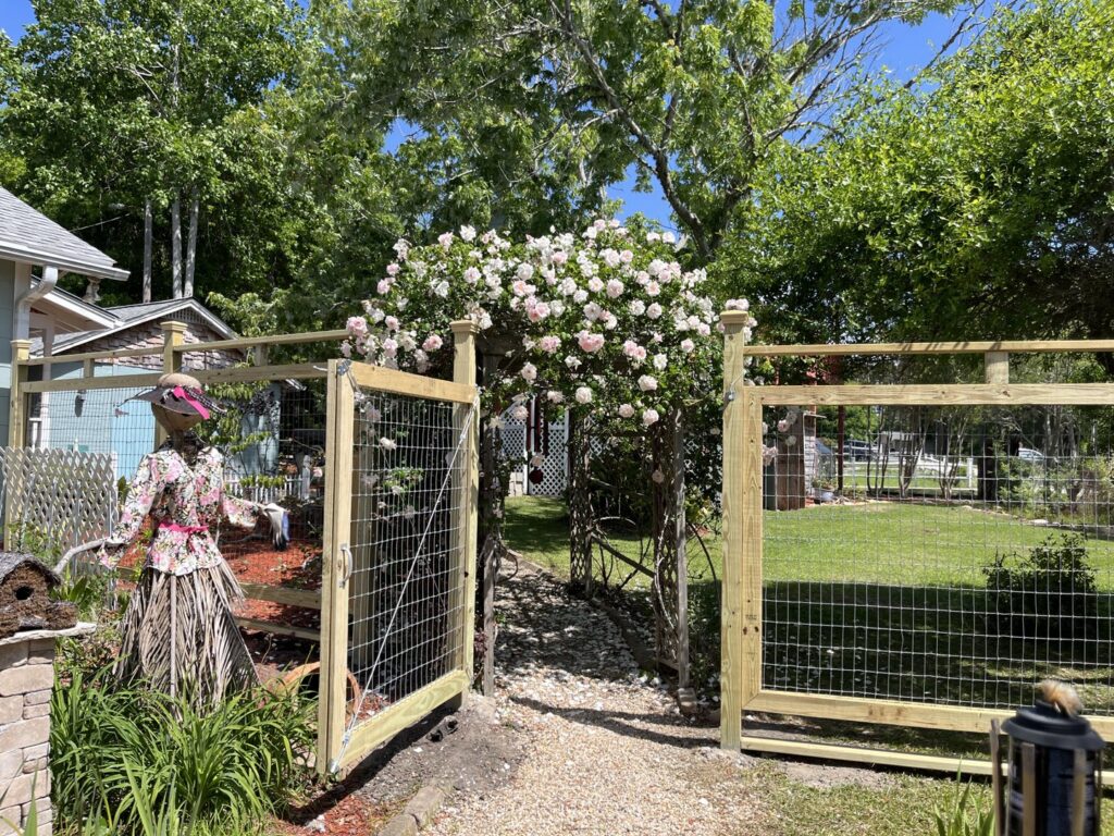 Backyard view with newly installed wooden fence and gate by Port City Remove and Improve in Wilmington, NC