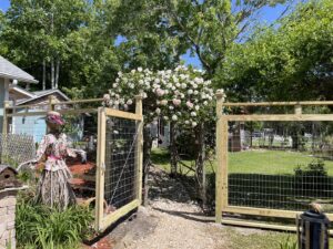 Backyard view with newly installed wooden fence and gate by Port City Remove and Improve in Wilmington, NC