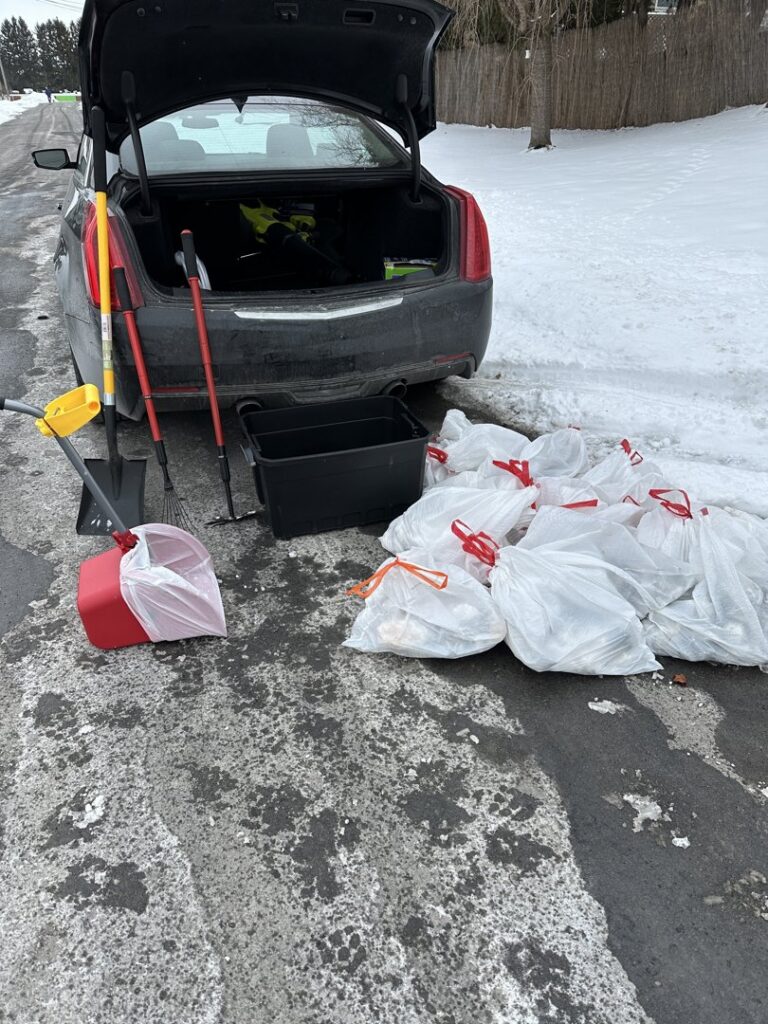 Bags of dog waste collected after a cleanup service by Poofect Lawns in Syracuse, NY