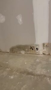 A basement wall showing significant mold and water damage at the base, indicating a need for waterproofing services from TCM Waterproofing, LLC in Canton, OH.