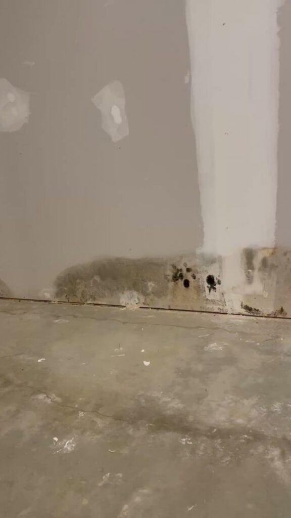 A basement wall showing significant mold and water damage at the base, indicating a need for waterproofing services from TCM Waterproofing, LLC in Canton, OH.