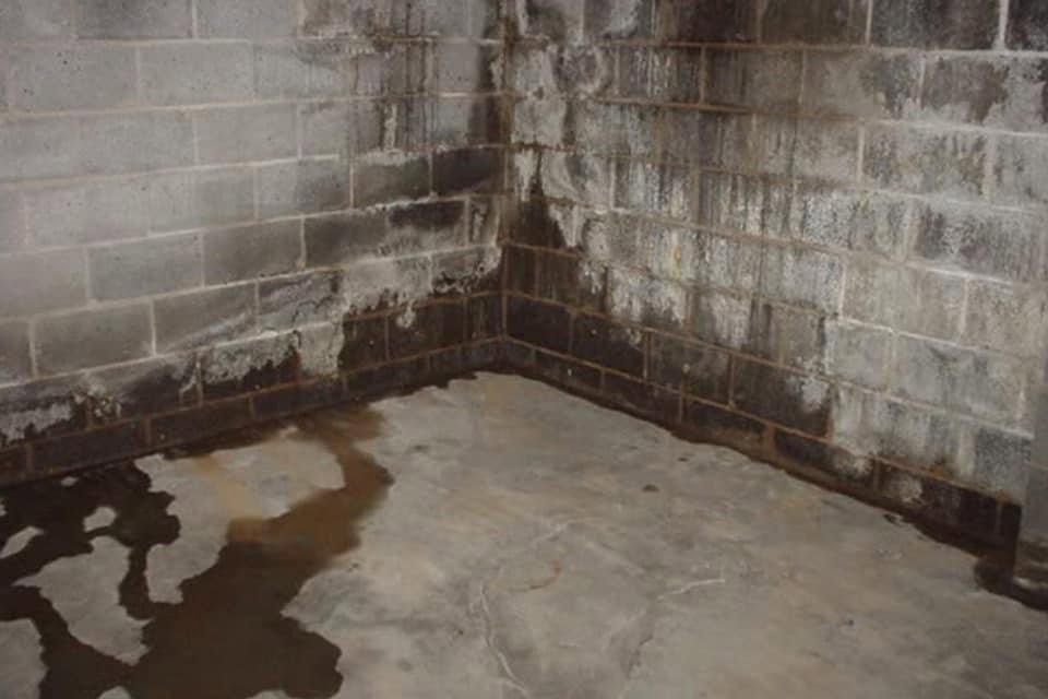 A damp basement corner showing water damage and mold, a common issue addressed by Appalachian Foundation Services in Roanoke, VA.