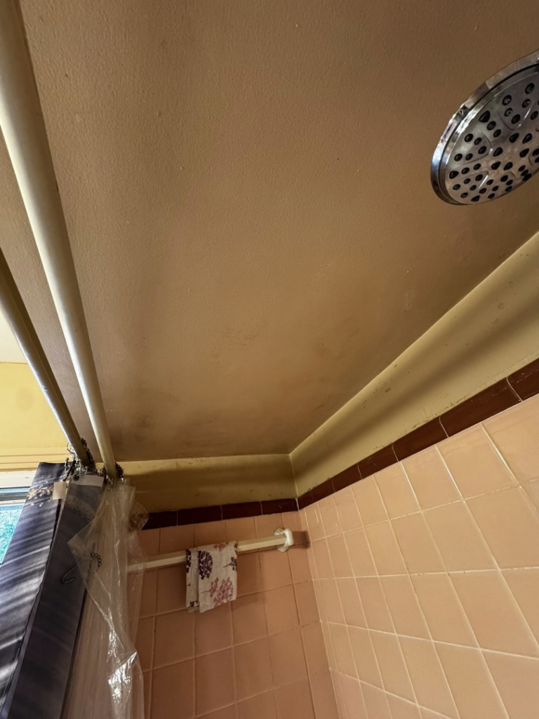 Bathroom ceiling with water stains and mildew, showing a repair need for S & H Painting and Drywall LLC in Montgomery, AL.