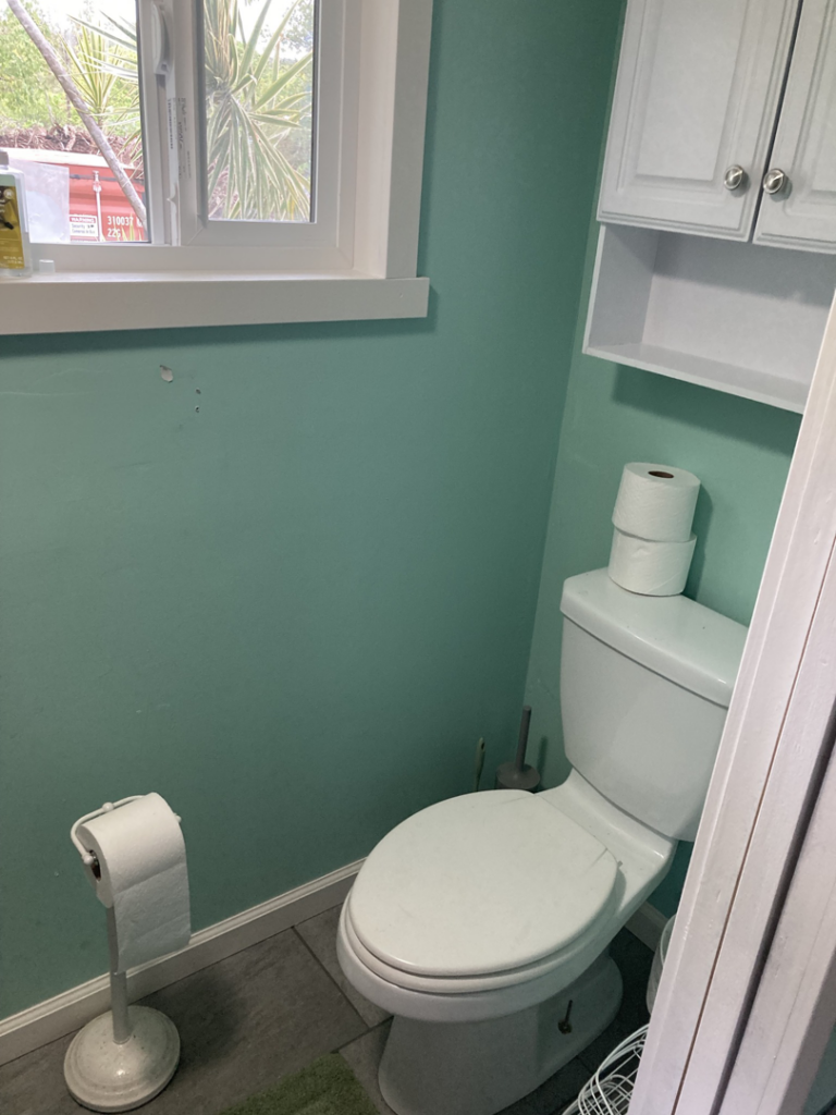 Bathroom painting and cabinet installation services by Handyman Jeff in Keaau, HI