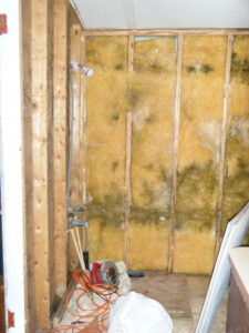 Bathroom renovation in progress with exposed insulation and plumbing by Castillo Construction Company in Malden, MA