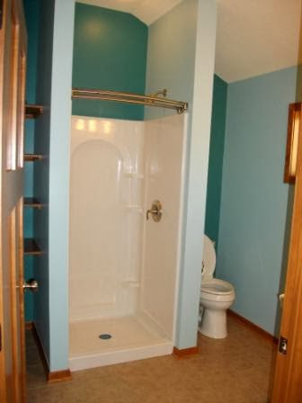 Renovated bathroom featuring a stand-up shower and toilet with blue walls by Tschida Construction in Cologne, MN.