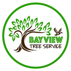 Bayview Tree Service