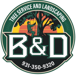 B&D Tree Service and Landscaping