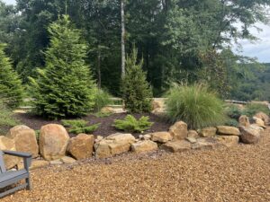 A beautifully landscaped area featuring rocks, trees, and shrubs by Rainscapes in Louisville, TN.