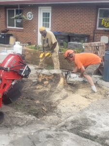 Before and after photos of a backyard clearing and cleanup project by Rothman Tree Service in Des Moines, IA.