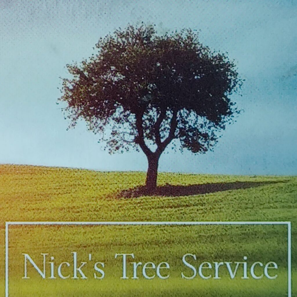 Before and after photos showing the removal of a dead pine tree by Nick's Tree Service in Wichita, KS, with cut logs on the ground.