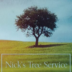 Before and after photos showing the removal of a dead pine tree by Nick's Tree Service in Wichita, KS, with cut logs on the ground.