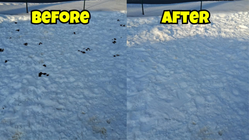 Before and after comparison of dog poop removal from a snowy yard by The Doo Doo Dudes in Lewiston, ME.