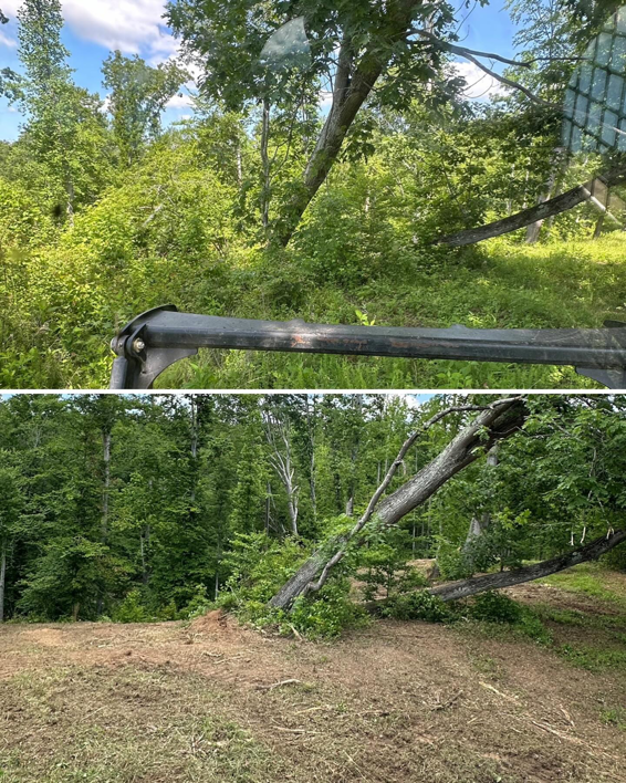 Before and after view of a property showing professional land clearing services by Mighty Mouse Services in Winston-Salem, NC.