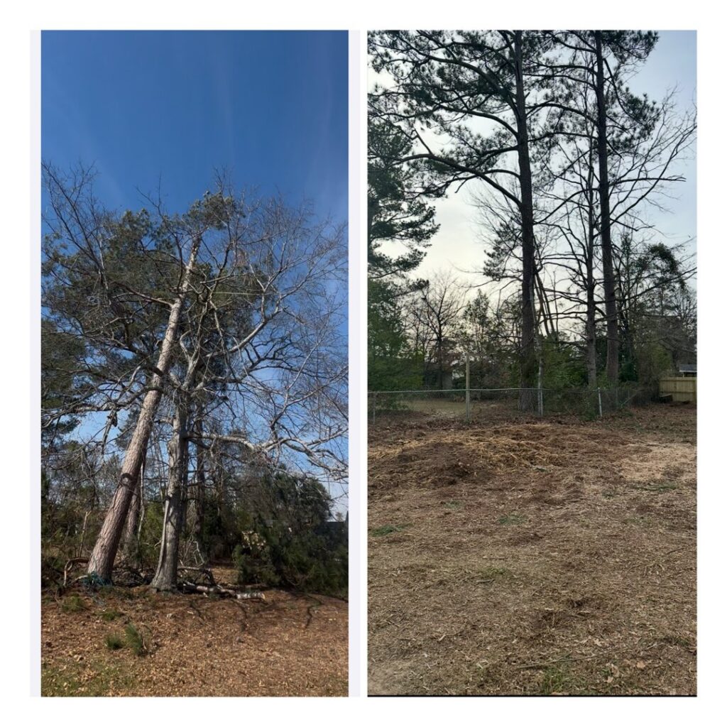 Before and after photos of a property showing complete land clearing and tree removal by Stumps Be Gone in Augusta, GA.