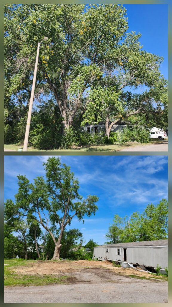 Before and after view of a large tree removal project completed by Arbor Med Tree Service in Wichita, KS.