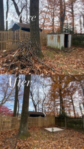 Before and after view of a shed and yard waste removed from a backyard by Navarro Demo LLC in Rockville, MD