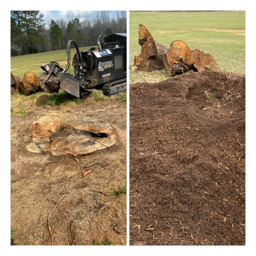 Before and after photos showing a stump grinder and the resulting wood chip mulch from a stump removal by Stumps Be Gone in Augusta, GA.