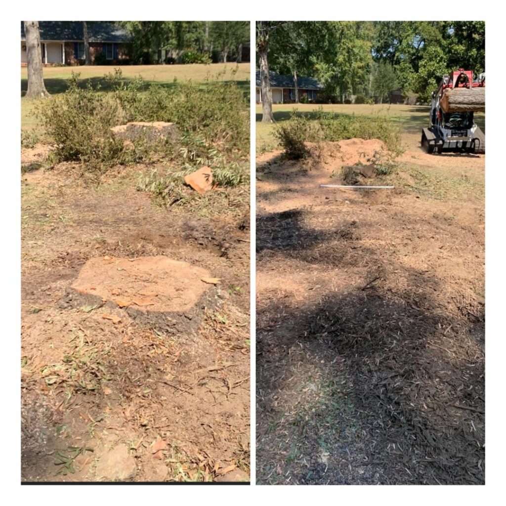 Before and after photos illustrating successful stump removal services by Stumps Be Gone in Augusta, GA.