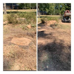 Before and after photos illustrating successful stump removal services by Stumps Be Gone in Augusta, GA.
