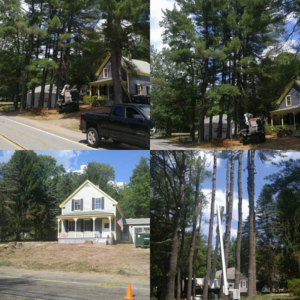 Before and after extensive tree limbing and removal near a house by Out On A Limb Tree Service in Lowell, MA.
