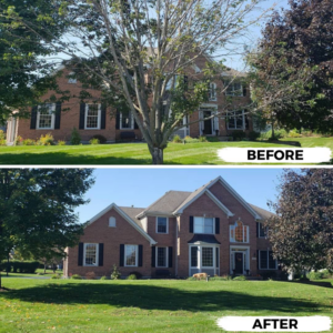 Before and after photos showing a house with a large tree pruned or removed by Jeovani's Tree Service in Warrenton, VA.