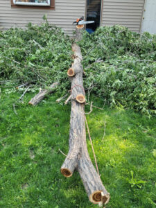A before-and-after image showing trees removed from near a house, illustrating tree removal service by Tree Keepers LLC in Littleton, CO.