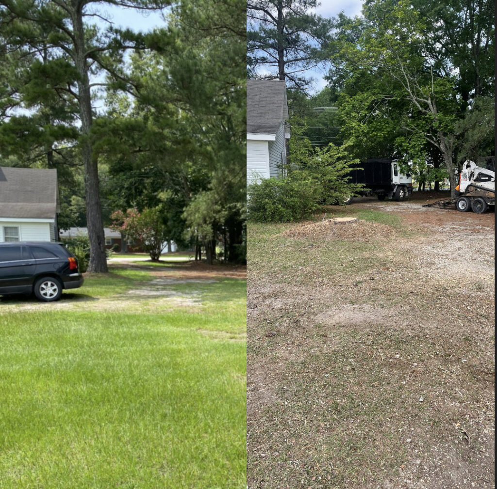 Before and after image of residential tree removal and land clearing by Tree service Rigoberto peraza in Atlanta, GA.