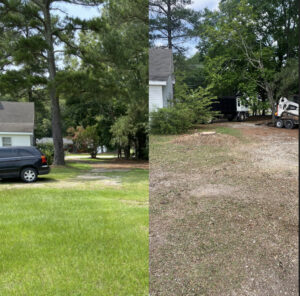 Before and after image of residential tree removal and land clearing by Tree service Rigoberto peraza in Atlanta, GA.