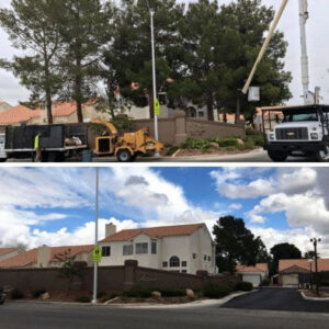 A before and after composite image showing successful tree removal and site clearing by Rocky's Tree Service in Las Vegas, NV.