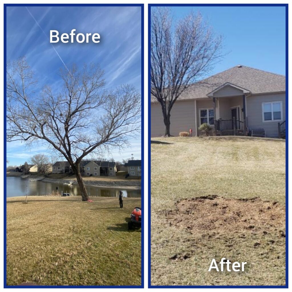 Before and after photos showing complete tree and stump removal by Nick's Tree Service in Wichita, KS, leaving a clear area.