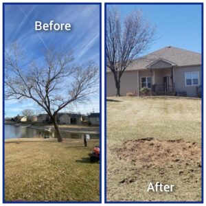 Before and after photos showing complete tree and stump removal by Nick's Tree Service in Wichita, KS, leaving a clear area.