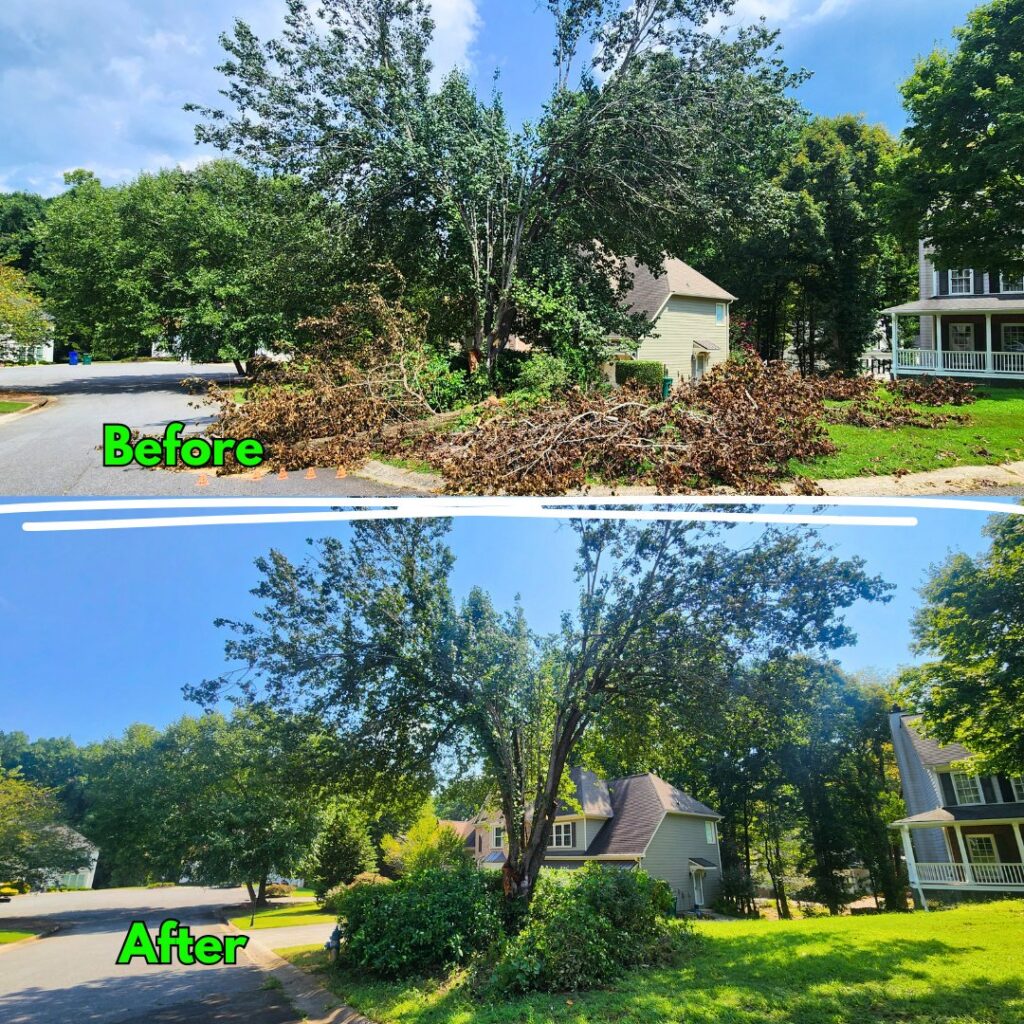 A before and after comparison showing tree trimming and debris cleanup by Joshua Tree Service in Smyrna, GA.