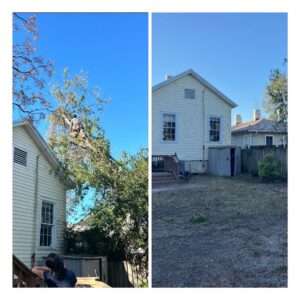 Before and after photos of tree trimming and removal near a residential home by Stumps Be Gone in Augusta, GA.