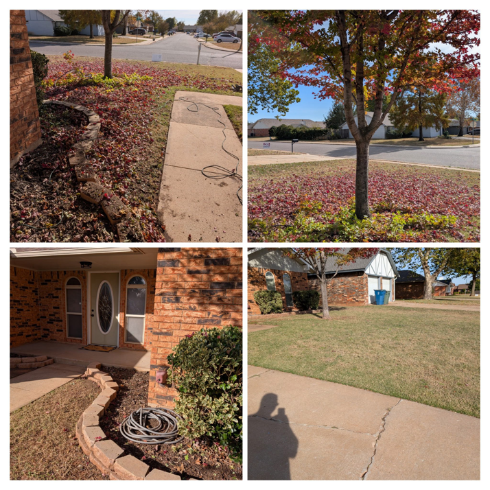 Before and after photos of a thorough yard leaf cleanup service by Bins and Scoops Solutions in Edmond, OK
