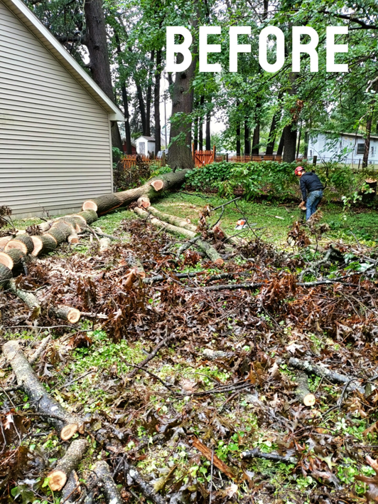 A "BEFORE" view of a tree removal job with cut logs and a worker using a chainsaw by Good Fellers Tree Services in Westland, MI.