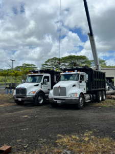 Two Big Island Tree Service trucks and a crane at a job site, ready for tree removal and debris hauling in Keaau, HI
