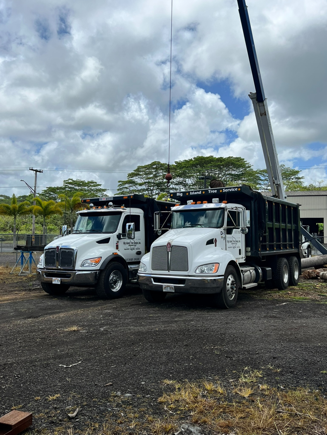 Two Big Island Tree Service trucks and a crane at a job site, ready for tree removal and debris hauling in Keaau, HI