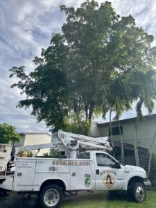 A Big Ron's Tree Service truck with a bucket lift parked at a job site in Miami, FL.