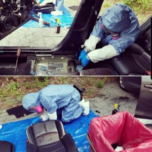Biohazard PRO team performing car interior remediation and contaminated junk removal in Boston, MA.
